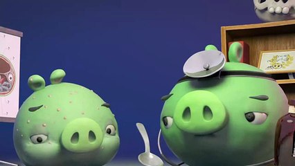 Мультик смешные свинки - доктор Хрюн