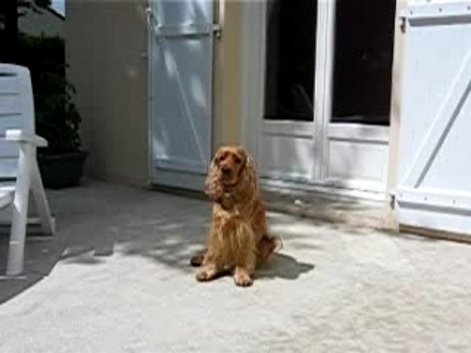 Je suis beau et je suis sage