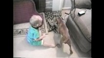 A puppy and a toddler wrestle - Cutest video ever! - Babies and Animals - toddletale