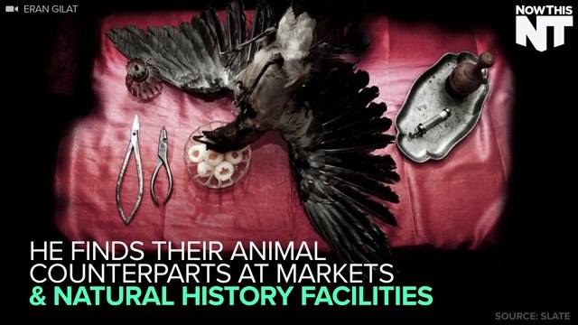 Scientist Takes Beautiful Photos Of Biological Specimens