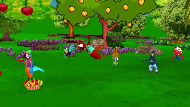 Finger Family ANGRY BIRDS - iBIRD Nursery Rhymes for Children 3D Animation