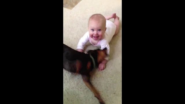 Baby pukes all over dog - Babies and Animals - toddletale