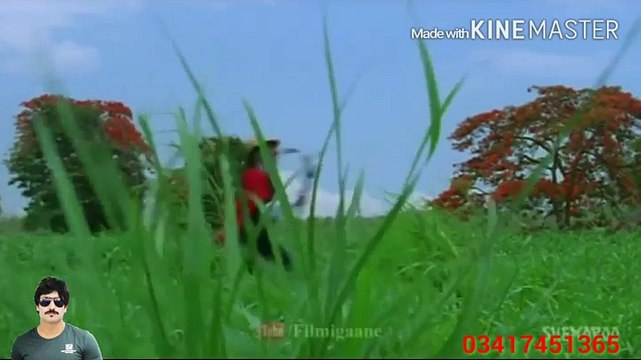 Tu Mera Deewana Main Teri Deewani