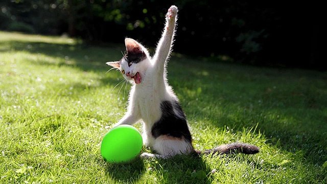 15 ФОТО ЗА СЕКУНДУ ДО