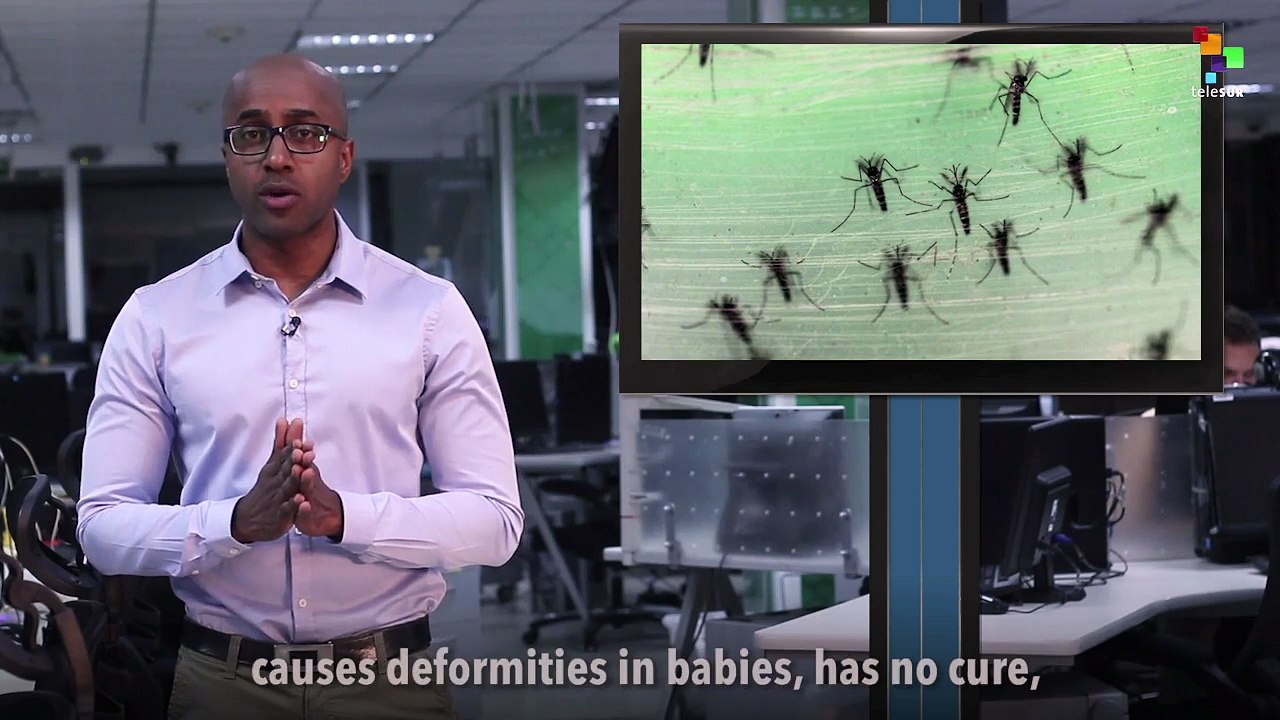Media Analysis: Zika