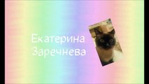Концерт самодеетяльности молодёжи.