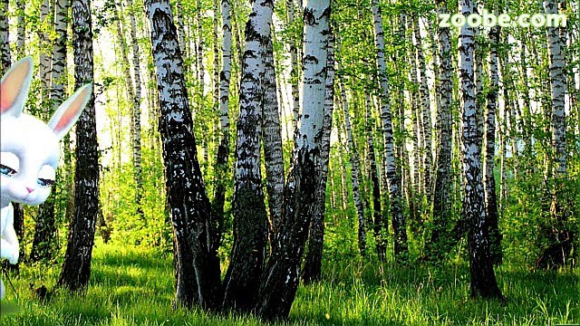 Zoobe Зайка Поздравление с Троицей!