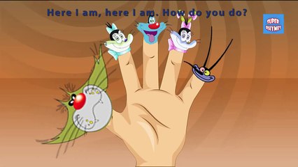 Oggy and the Cockroaches Finger Family Nursery Rhymes Lyrics