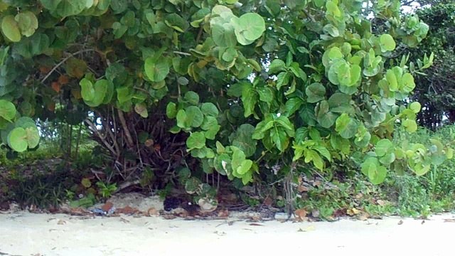 Negril 7 miles beach Jamaica 2015