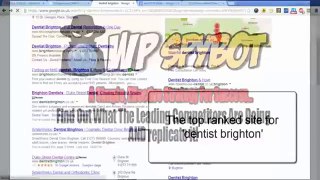 WP SpyBot - Uncover the Secrets Behind ANY Wordpress Site