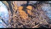 DECORAH EAGLES  2/12/2016  12:23 PM  CST   TWO VISITS FROM MOM AND DAD