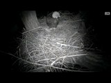 DECORAH EAGLES  12/24/2015  7:05 AM  CST     MOM IN EARLY