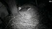 DECORAH EAGLES 2/9/2016   5:55 PM  CST   DAD AND MOM IN FOR A LATE VISIT