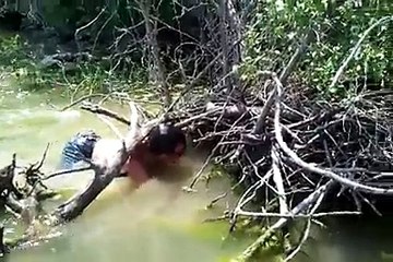 How To Fishing-Noodling a 84lb flathead catfish in 1ft of.water!!