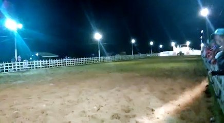 Háras hs Wild rocket bar araçagi esse cavalo botar