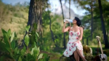 Erikli Göksel Teşekkürler Şarkısı Reklamı