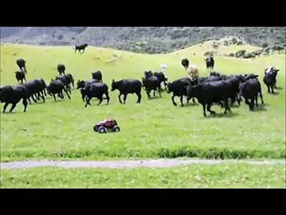Funny video