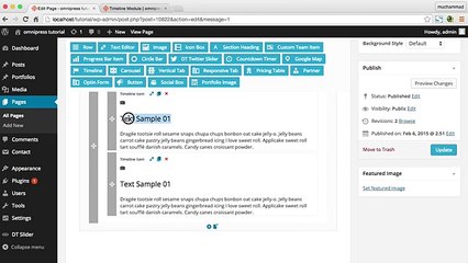 DT Builder Timeline - Omnitheme