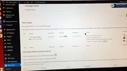 WP Scope Review