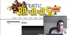 CL Traffic Bananas Review - Inside The Members Area