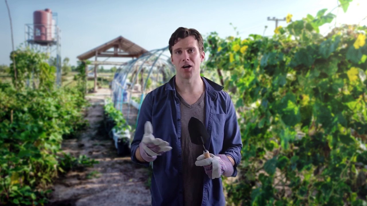 Buy Food Ethically, Unless Its Too Hard