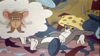 Naughty and genious  Tom & Jerry cartoon