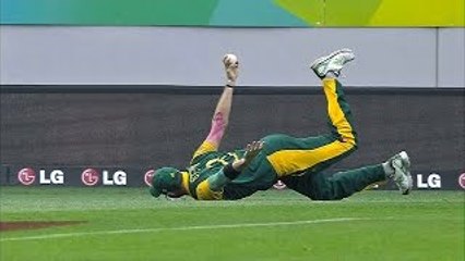 Best Catches in Cricket History! Best Acrobatic Catches!