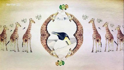 Curiosités Animales: Alimentation Par Filtration, La Baleine Bleue & Le Flamant Rose