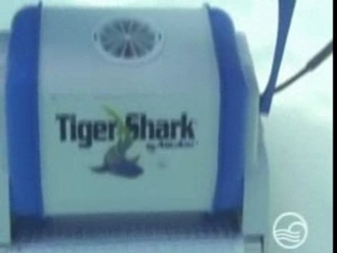 Robot piscine Pontoon : Tiger Shark