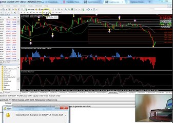How To Use the UOP Binary Indicator