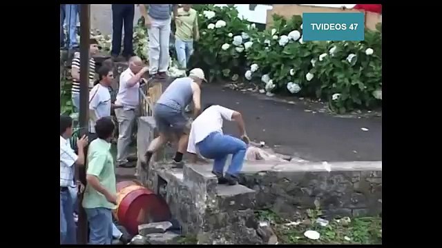 Bull Fighting Accidents 18