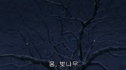 가장큰카지노ひ＼＼【KOP77。COM】＼＼る피나클에이전시호게임