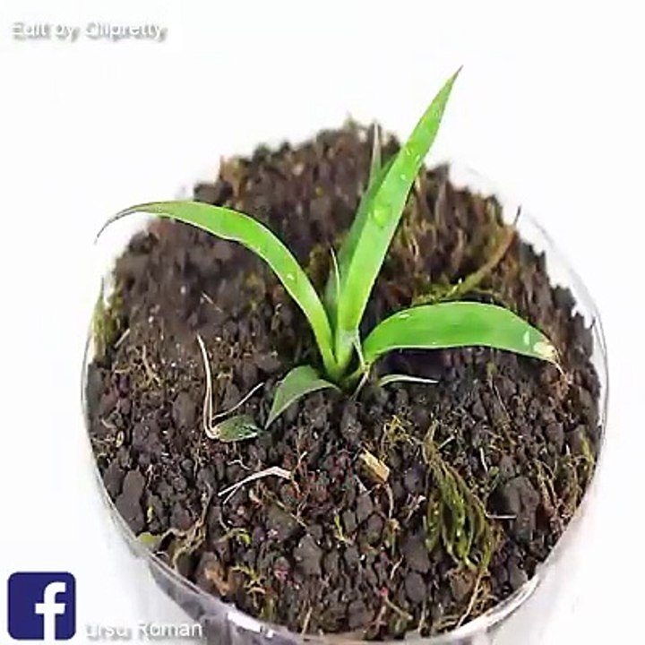 Pet Şişeden Pratik ve Kullanışlı Ürünler Elde Etmek