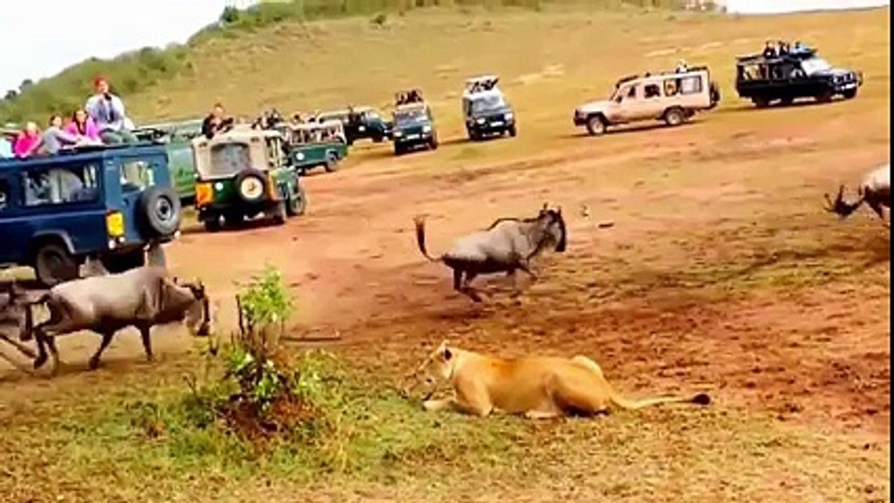 Funny whatsapp video 2015/2016 very funny - Dailymotion