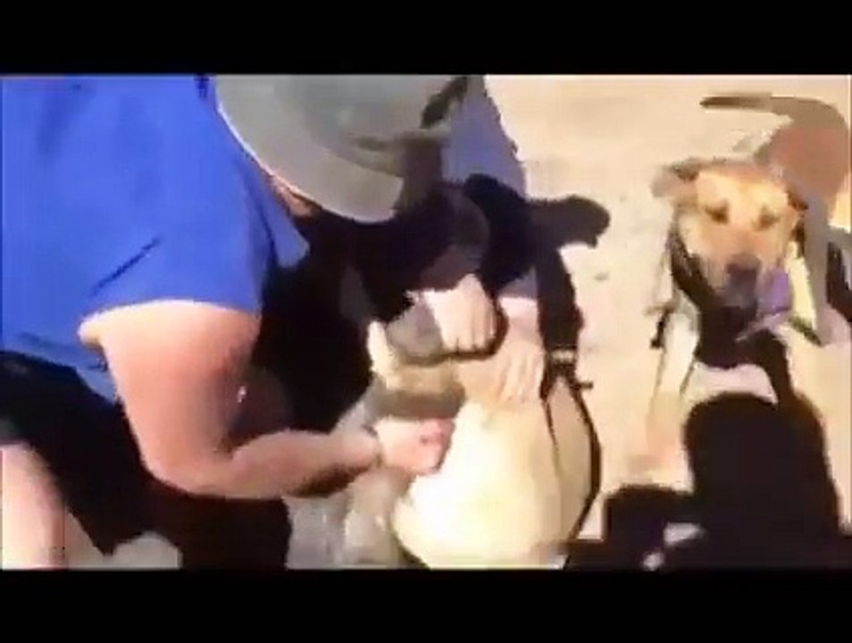Funny whatsapp video 2015/2016 very funny - Dailymotion
