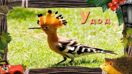 Учить буквы - Буква У. Машинки и алфавит для самых маленьких. Обучающий мультфильм для детей