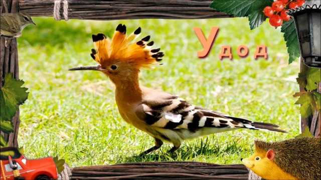 Учить буквы - Буква У. Машинки и алфавит для самых маленьких. Обучающий мультфильм для детей