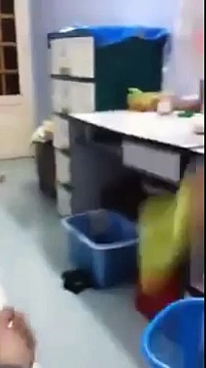 6 Funny animal videos, Funny cats videos, Funny dog Vines