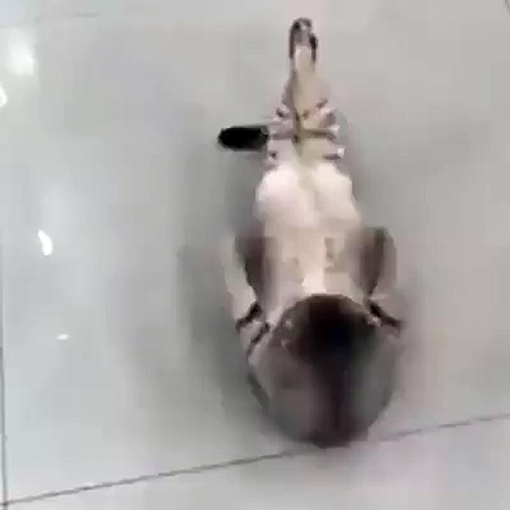 quand je fais des abdos