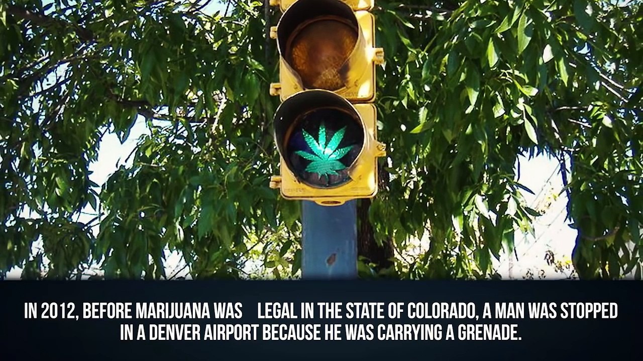 10 Craziest Things Smuggled Through Security