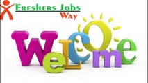 freshers jobs,walkins