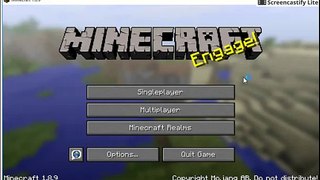 Woofless Minecraft email and password to play as him