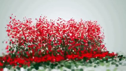 Video Induction System Demo Video - get *BEST* Review and Bonus HERE ... :) :) :)