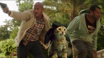 Keanu Full Movie Streaming Online in HD-720p Video Quality