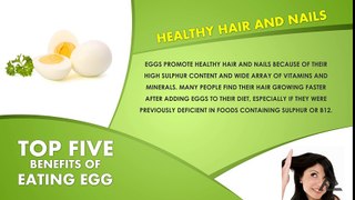 Top 5 Benefits Of Egg - Best Health and Beauty Tips - Lifestyle