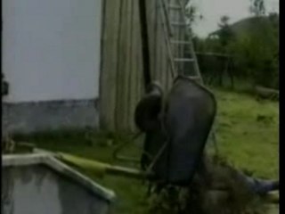 Chute dans la merde