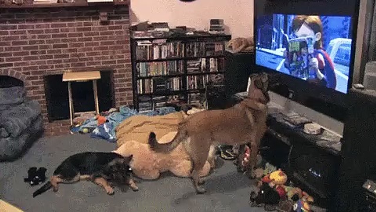 Amazing video
