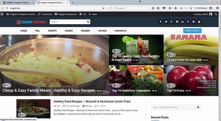Setup widget Elegant TubePress