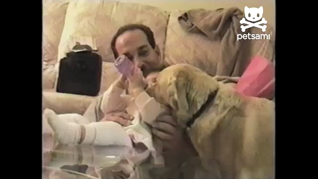 Kittens and puppies bottle feeding