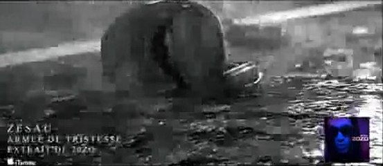 Zesau - Armée de tristesse _ Nouvel Album Disponible_2